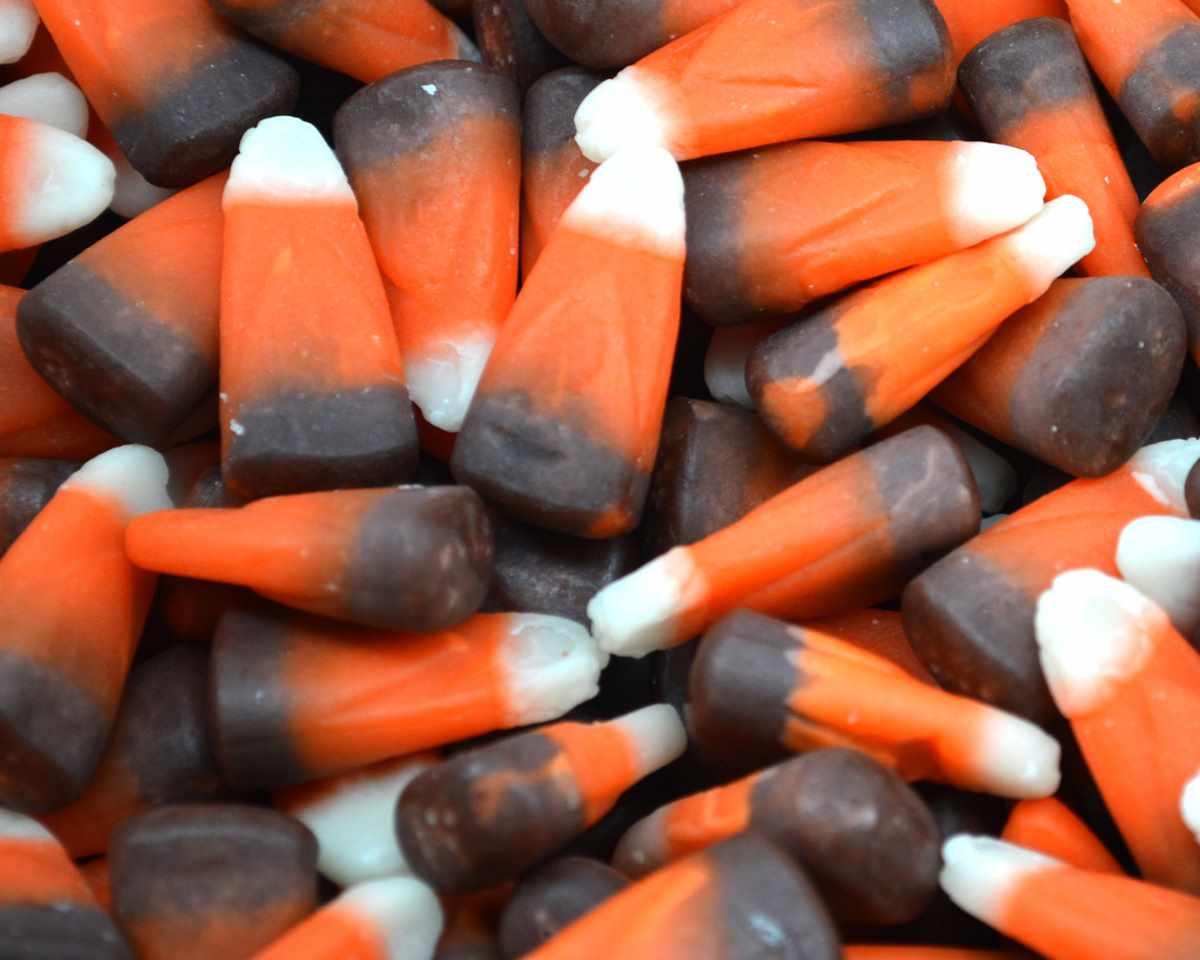 Brach's Indian Corn - 3 lb. – Candy Favorites, image size:1200x960