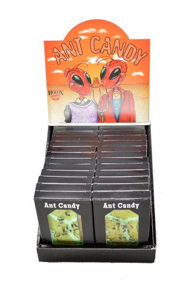 Green Apple Ant Candy - CandyFavorites