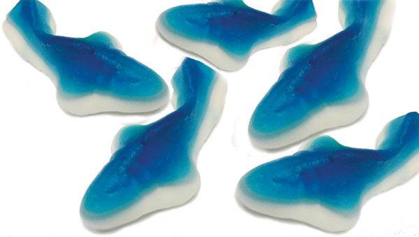 Gummi Blue Sharks - CandyFavorites