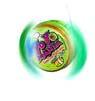 Yo Yo Mania Bubble Mania - CandyFavorites