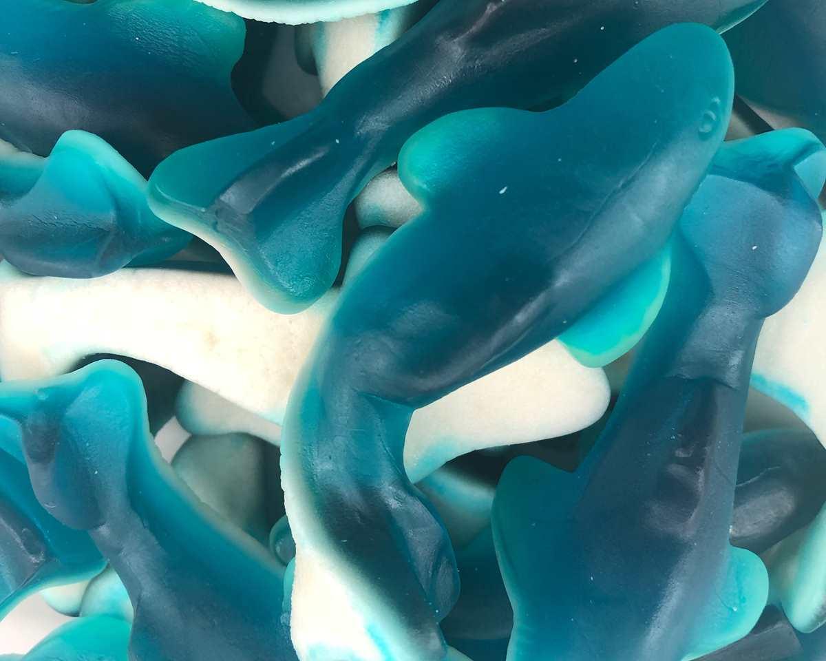 Blue Raspberry Gummi Sharks - 5 lb. – Candy Favorites