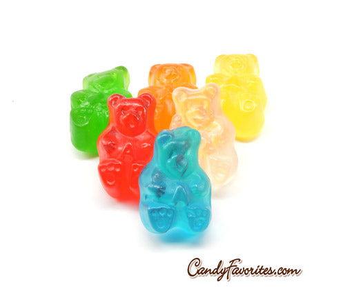 Brach's Wild n' Fruity Gummi Bears - CandyFavorites