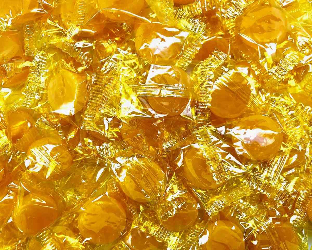 Bitterscot Butterscotch Discs - 5 lb. – Candy Favorites