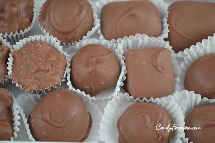 Deluxe Dark and Milk Chocolate Assortment 8 Ounce Box - CandyFavorites