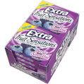 Extra Fruit Sensations Berry Smoothie Gum - CandyFavorites
