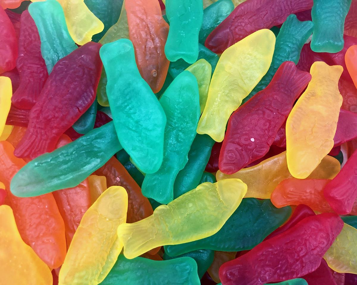 Hand Packed Assorted Swedish Fish 8 oz. Bags - 6 / Box - CandyFavorites