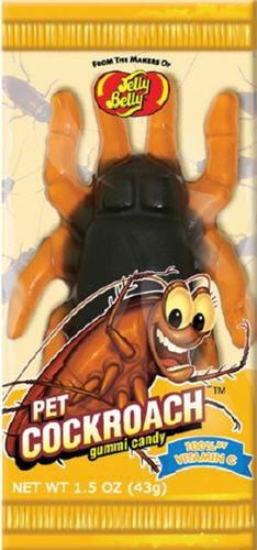 Jelly Belly Gummi Pet Cockroach - CandyFavorites