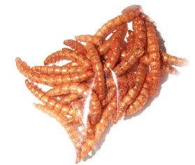Larvets BBQ Worm Snacks - CandyFavorites