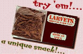 Larvets Mexican Spice Worm Snacks - CandyFavorites