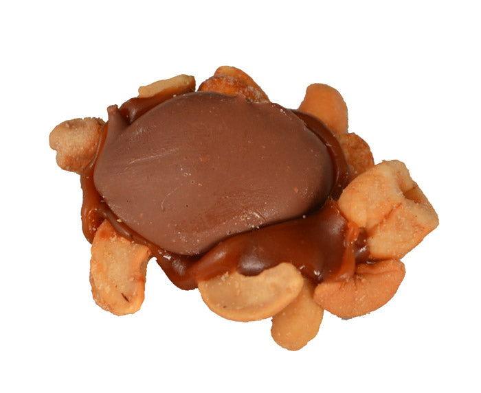
                      
                        Nutty Cashews - CandyFavorites
                      
                    