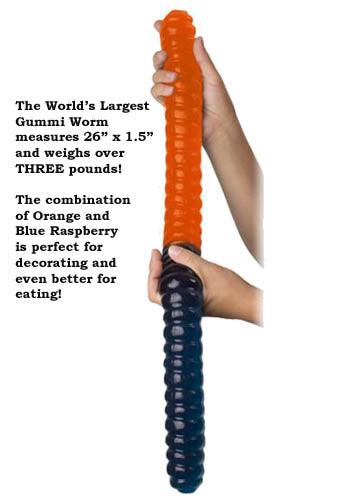 World's Largest Gummi Worm - CandyFavorites