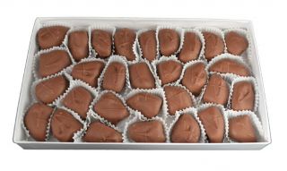 Chocolate Covered Apricots - 1 Pound Box